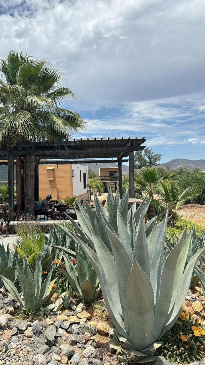 Villa Rincón del Corazón Valle de Guadalupe Exterior foto