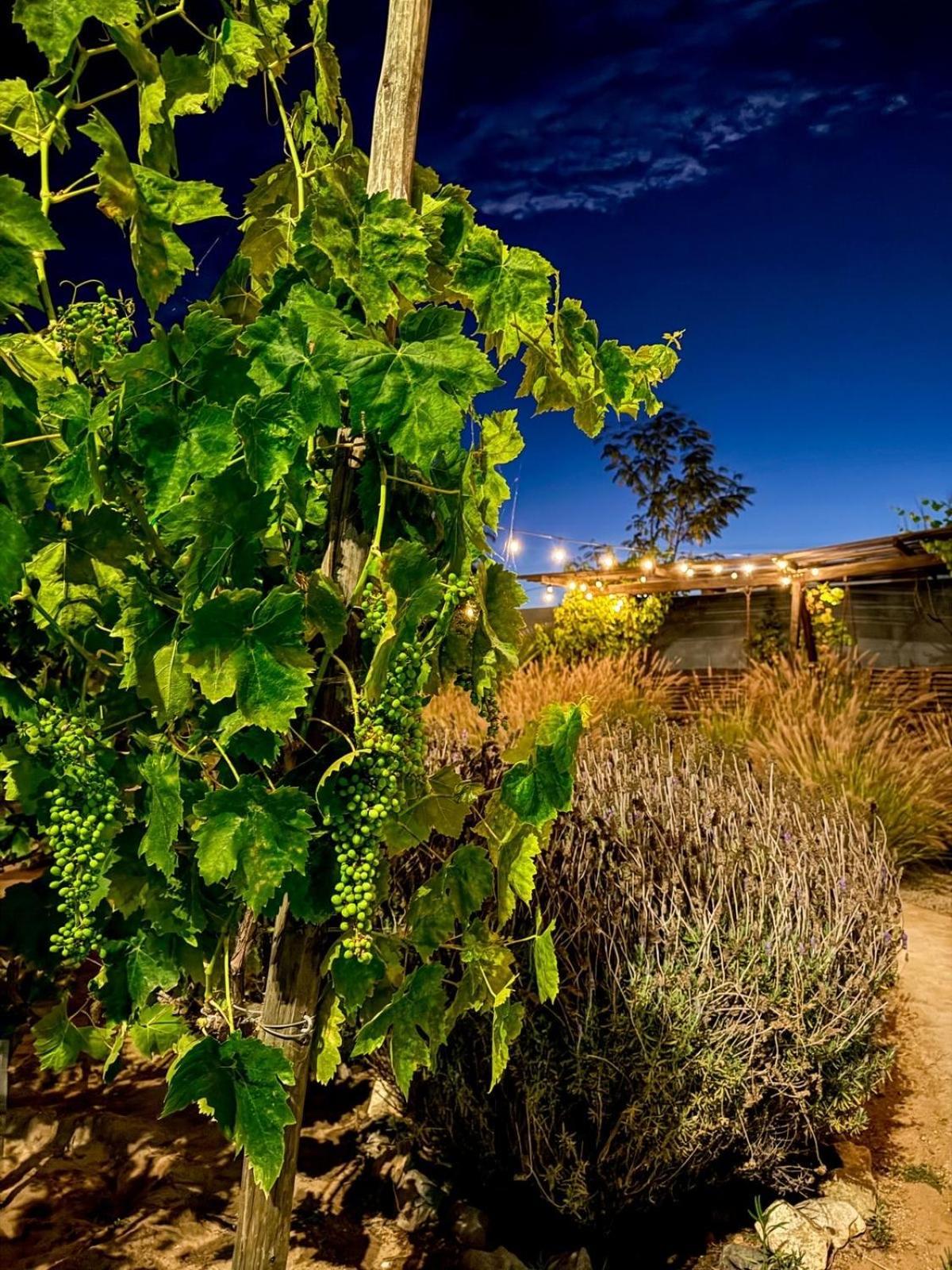 Villa Rincón del Corazón Valle de Guadalupe Exterior foto
